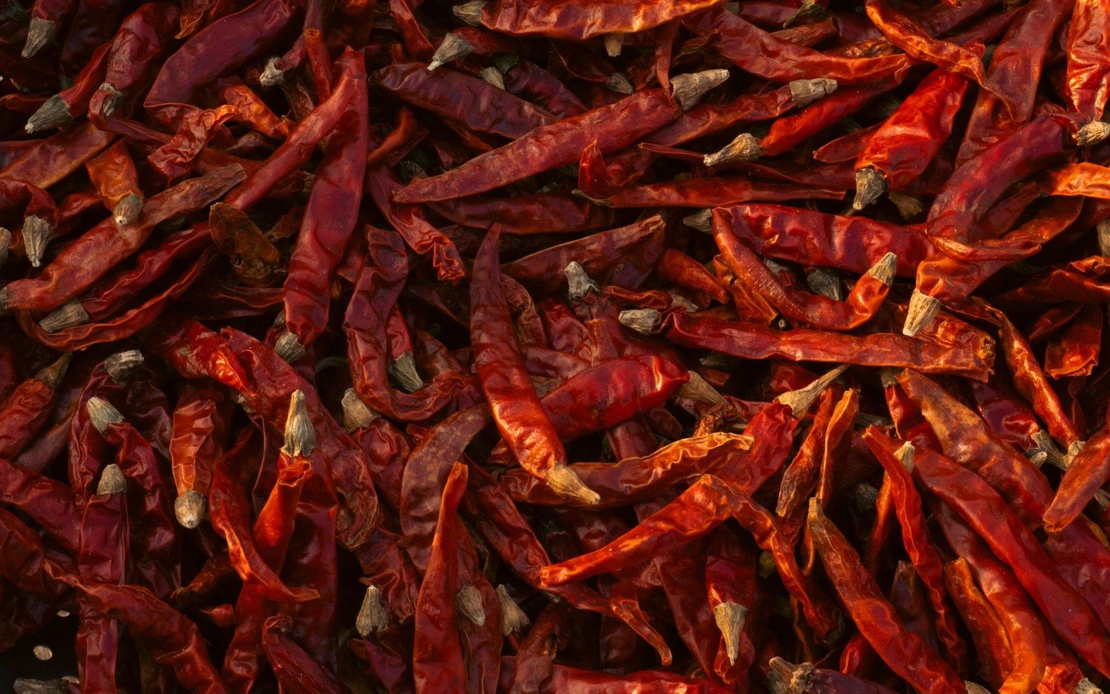 A pile of dried red Chimayó chiles with wrinkled skins and gray stems