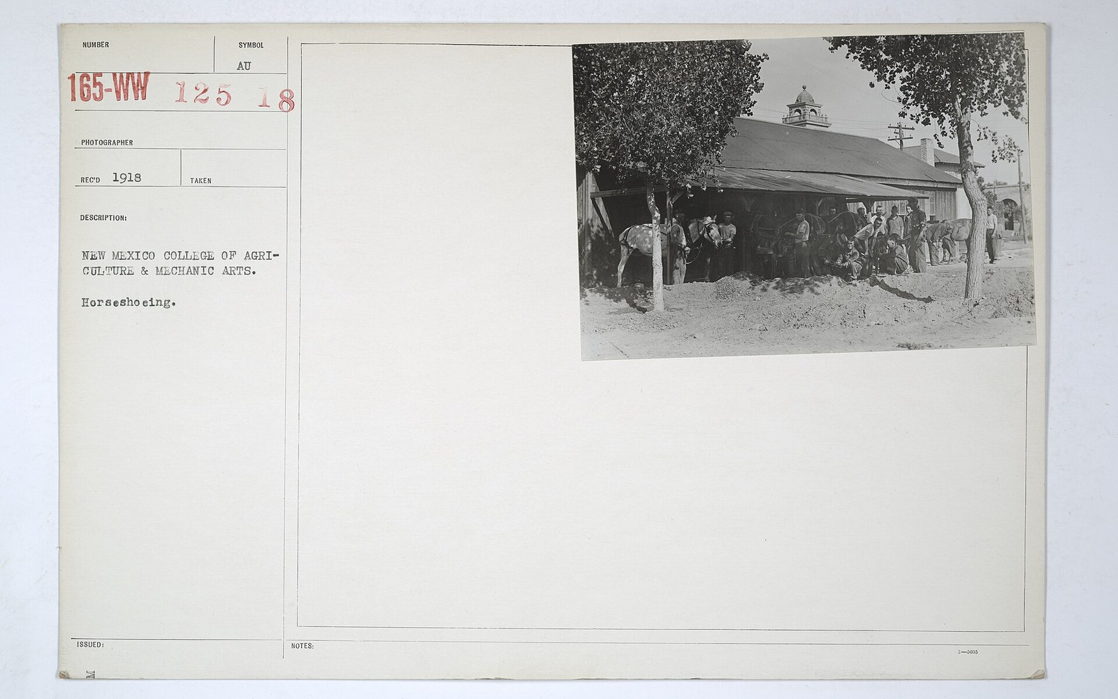 Archival photo of men shoeing horses outside a barn near a bell tower