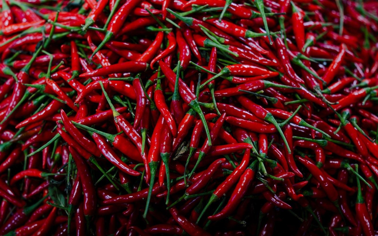 A large pile of fresh red chili peppers with green stems