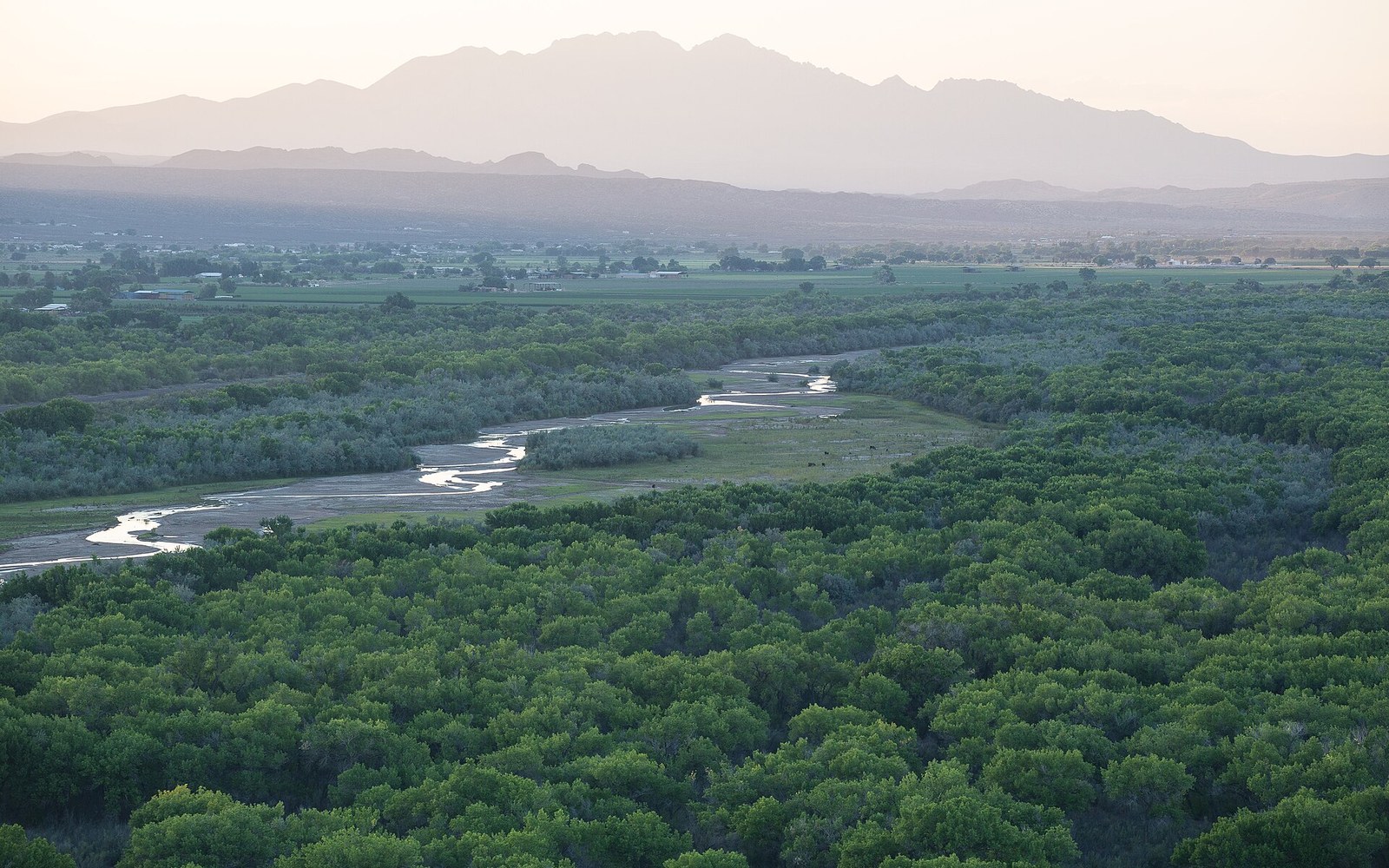 A winding river cuts through dense green woodland below distant desert mountains at dusk